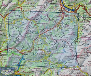 I.G.N - Carte au 1-25.000ème - TOP 25 - 3531 OTR - Megève - Col des Aravis (en matière résistante)