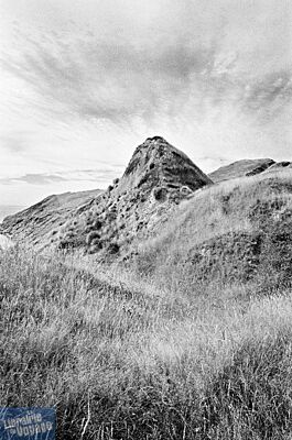 Antoine Le Roux - Photographie - Land of quiet birds 
