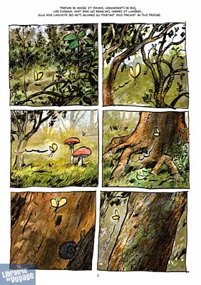 Editions Les Arènes - Bande dessinée - La Vie secrète des arbres (Wohlleben - Bernard - Flao)