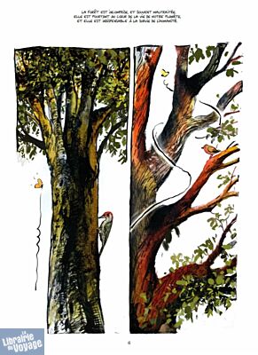 Editions Les Arènes - Bande dessinée - La Vie secrète des arbres (Wohlleben - Bernard - Flao)