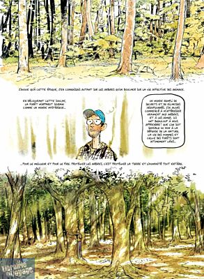 Editions Les Arènes - Bande dessinée - La Vie secrète des arbres (Wohlleben - Bernard - Flao)