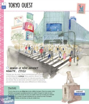 Editions Assimil - Livre jeunesse - Bienvenue au Japon (mon voyage au pays des mangas)