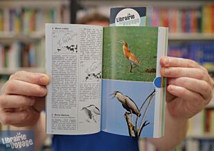 Editions Nathan - Guide - Gros plan sur les oiseaux