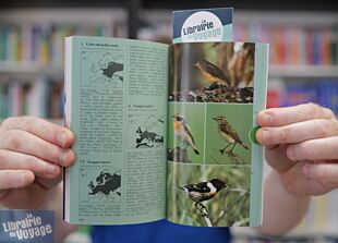 Editions Nathan - Guide - Gros plan sur les oiseaux