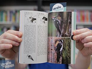 Editions Nathan - Guide - Gros plan sur les oiseaux