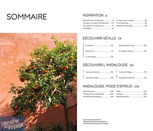 Hachette - Guide VOIR - Andalousie