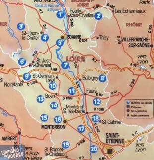 Chamina - Guide de randonnées - La Loire - Entre Auvergne et Rhône (Collection les incontournables)
