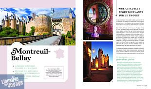 Editions Hachette - Beau livre - Des châteaux pas comme les autres