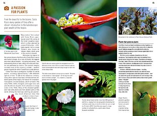 Editions Insight Guides - Guide touristique et culturel en anglais - Costa Rica