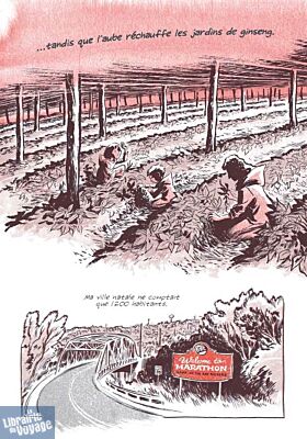 Editions Casterman - Bande dessinée - Ginseng roots