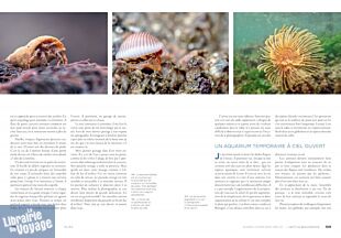 Editions Coop Breizh - Revue - GLAZ, La nature bretonne... par nature - Numéro 2 (Emmanuel Holder)