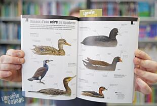 Editions Delachaux et Niestlé - Guide - Identifier les oiseaux par la couleur