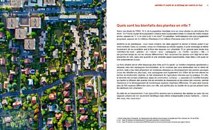 Editions du Rouergue - Guides - Sauvages des villes (connaître les plantes qui poussent en bas de chez vous)