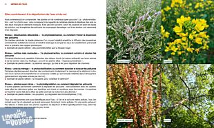 Editions du Rouergue - Guides - Sauvages des villes (connaître les plantes qui poussent en bas de chez vous)