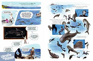 Editions Fayard (collection Graffik) - Récit graphiquie - Le théorème du Vaquita