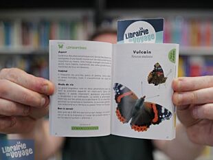 Editions First - Guide - Le petit guide des insectes