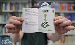 Editions First - Guide - Le petit guide des plantes sauvages comestibles