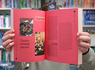 Editions Gallimard - Beau guide - Collection Voyage - Le Japon autrement (Gastronomie - Nature - Expérience - Culture - Art)