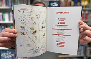 Editions Glénat - Récit - Les jours sauvages