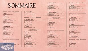 Editions Hachette - Livre de cuisine - Cuisine de Turquie (60 recettes traditionnelles entre Orient et Occident)