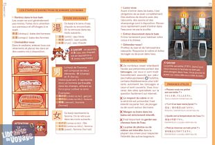 Editions Hachette (et Big in Japan) - Guide - Guide de survie pour voyageurs paumés au Japon