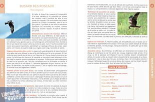 Editions La Fontaine de Siloë - Guide - Oiseaux de nos montagnes