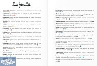 Editions La Fontaine de Siloë - Guide - Oiseaux de nos montagnes