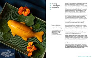 Editions La Plage - Livre de cuisine - Hong Kong Vegan (90 recettes vegan hongkongaises hautes en couleurs et chargées en saveurs)