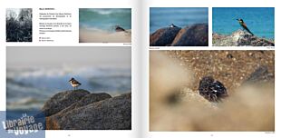 Editions Laurent Signoret - Beau livre - La Bretagne en 500 photos