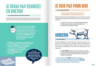 Editions Le Robert - Guide - Ça se dit comme ça en Bretagne