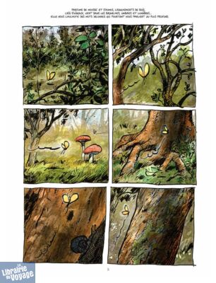 Editions Les Arènes - Bande dessinée - La Vie secrète des arbres (édition luxe)