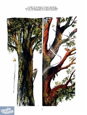 Editions Les Arènes - Bande dessinée - La Vie secrète des arbres (édition luxe)