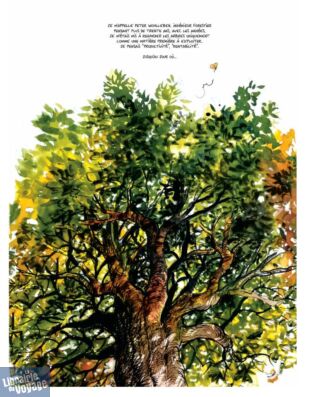 Editions Les Arènes - Bande dessinée - La Vie secrète des arbres (édition luxe)