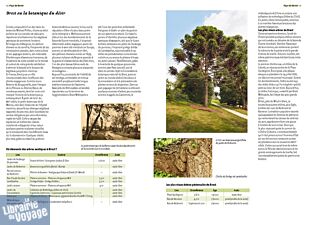 Editions Locus Solus - Beau Livre - Arbres remarquables du Finistère (Yannick Morhan, Guy Bernard, Mickaël Jézégou)