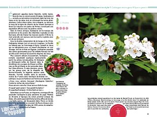Editions Locus Solus - Guide - Fleurs sauvages au fil des saisons (120 espèces)