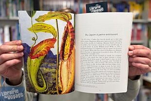 Editions Magellan & Cie - Livre illustré - Un hiver japonais