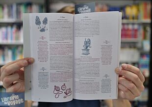Editions Michelin - Guide et carte (collection Les fabuleux itinéraires Michelin) - La France insolite