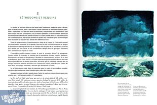 Glénat - Récit - Partir autour du monde (1519-2019, cinq cents ans de circumnavigations)
