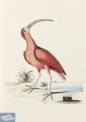 Editions Reliefs - Carnet - Recueil de divers oiseaux