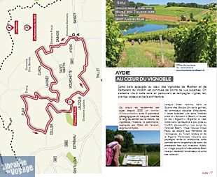 Editions Sud-Ouest - Guide - Randonnées en Béarn 