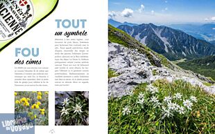 Editions Suzac - Beau livre - Dans l’intimité des Alpes (découvrir les Alpes autrement)