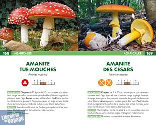 Editions Suzac - Guide - 250 champignons de France (les reconnaître et les cuisiner)