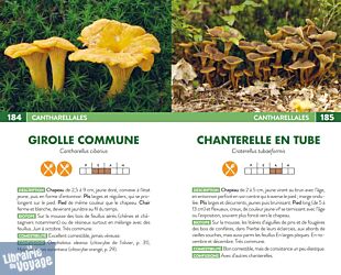 Editions Suzac - Guide - 250 champignons de France (les reconnaître et les cuisiner)