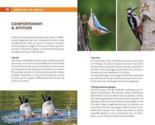 Editions Suzac - Guide - 250 oiseaux de France (les reconnaître sans se tromper)
