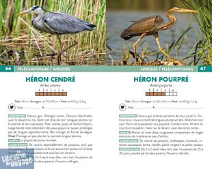 Editions Suzac - Guide - 250 oiseaux de France (les reconnaître sans se tromper)