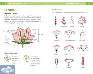 Editions Suzac - Guide - 270 fleurs sauvages de France (les reconnaître sans se tromper)