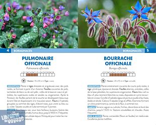 Editions Suzac - Guide - 270 fleurs sauvages de France (les reconnaître sans se tromper)