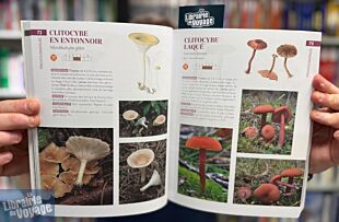 Editions Suzac - Guide - Champignons de France (reconnaître et cuisiner)
