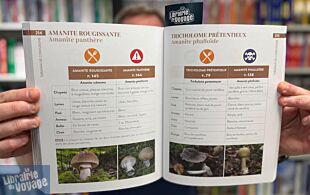 Editions Suzac - Guide - Champignons de France (reconnaître et cuisiner)