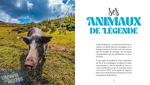 Editions Suzac - Guide - La Corse, l'aime pour...
